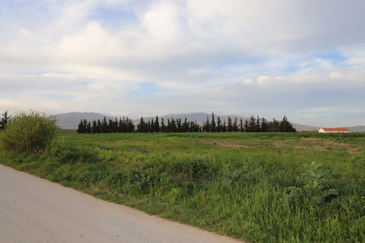 The peaceful countryside around the house in Nea Zichni
